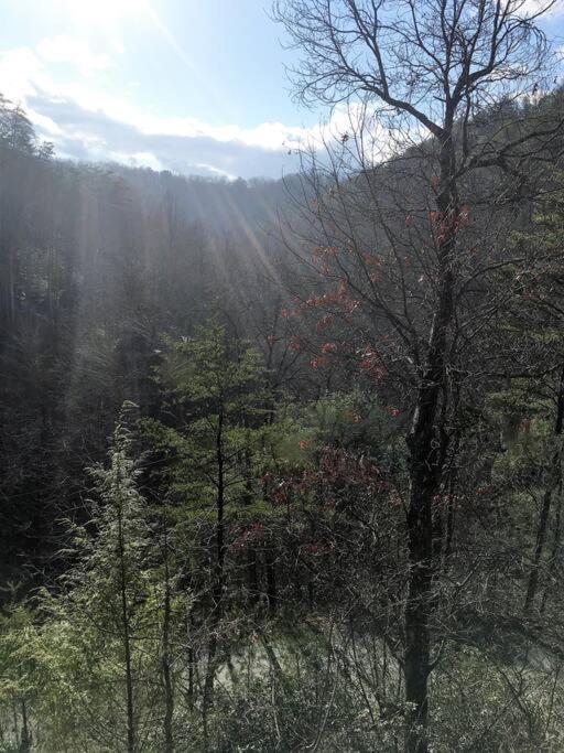 Little Cabin All To Yourself Sevierville Esterno foto