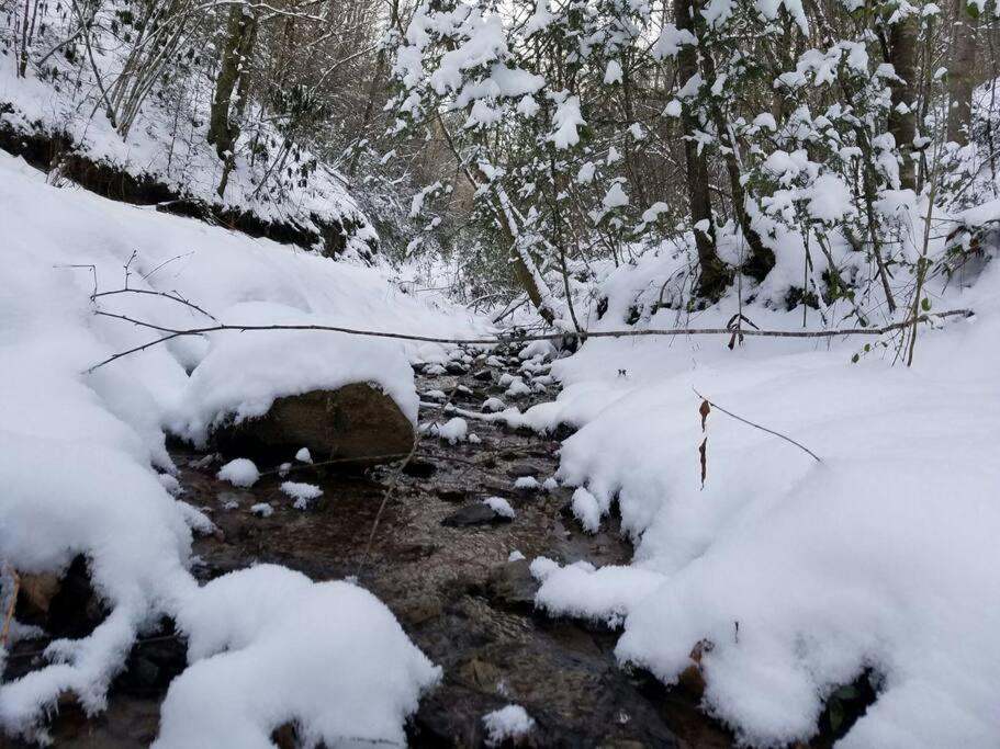 Little Cabin All To Yourself Sevierville Esterno foto